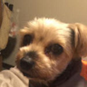 Meet your Posher, Barbara